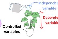 Dependent vs independent variable