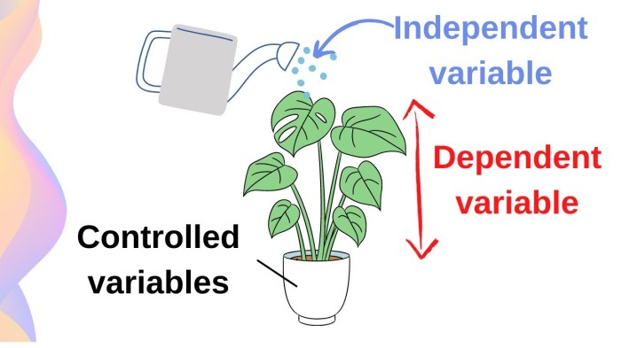 Dependent vs independent variable